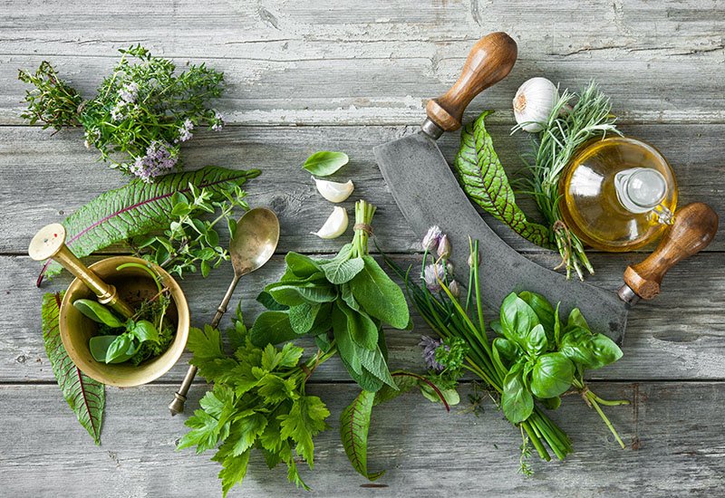 To understand the importance of herbs